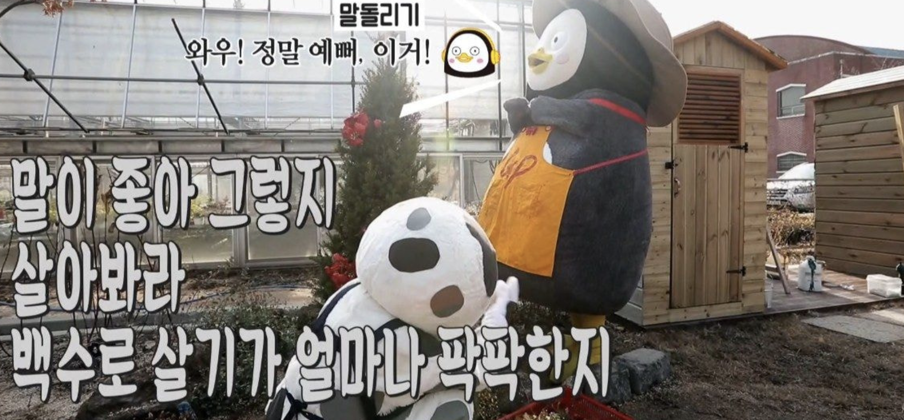 펭수_백수